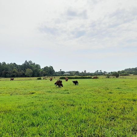 Lotus Retreat Πόλη Χο Τσι Μινχ Εξωτερικό φωτογραφία