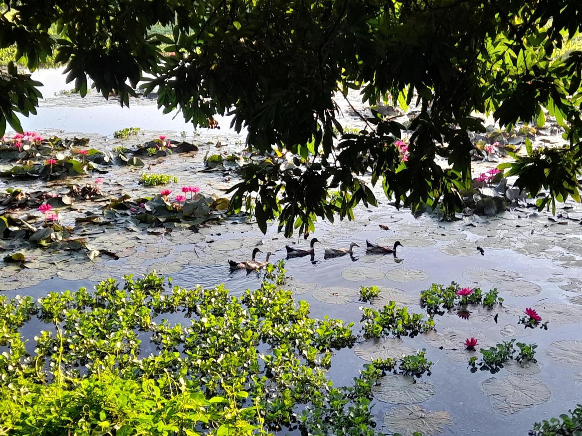 Lotus Retreat Πόλη Χο Τσι Μινχ Εξωτερικό φωτογραφία