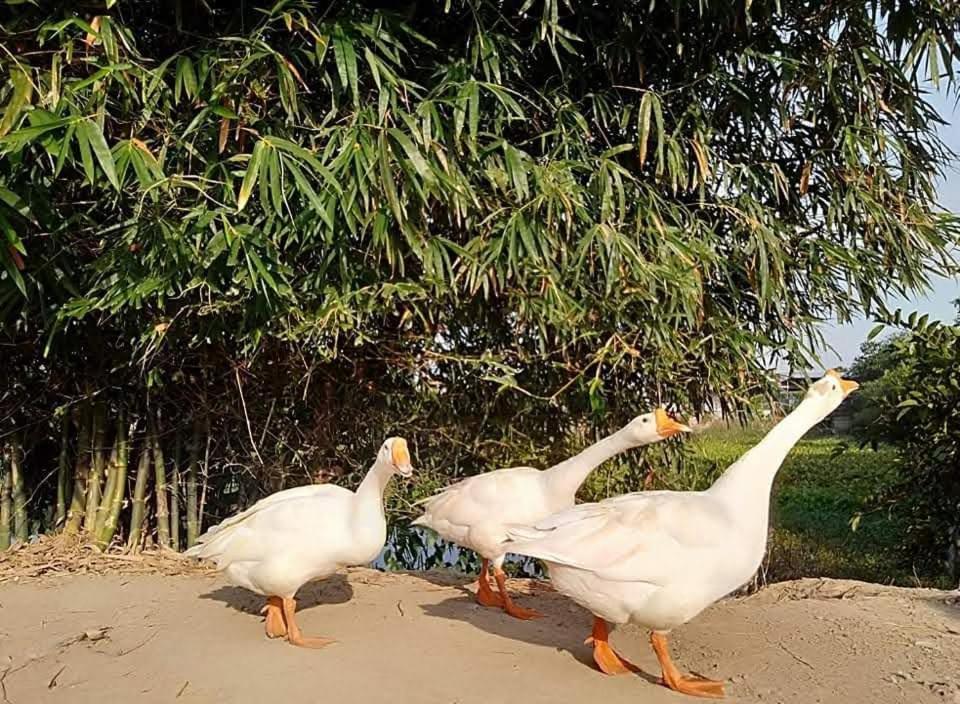 Lotus Retreat Πόλη Χο Τσι Μινχ Εξωτερικό φωτογραφία